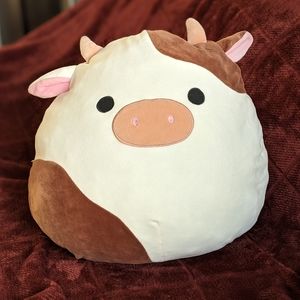 16" Ronnie Squishmallow